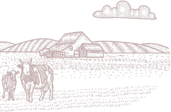 Cam kết giá trị từ Mekong Frozen Foods