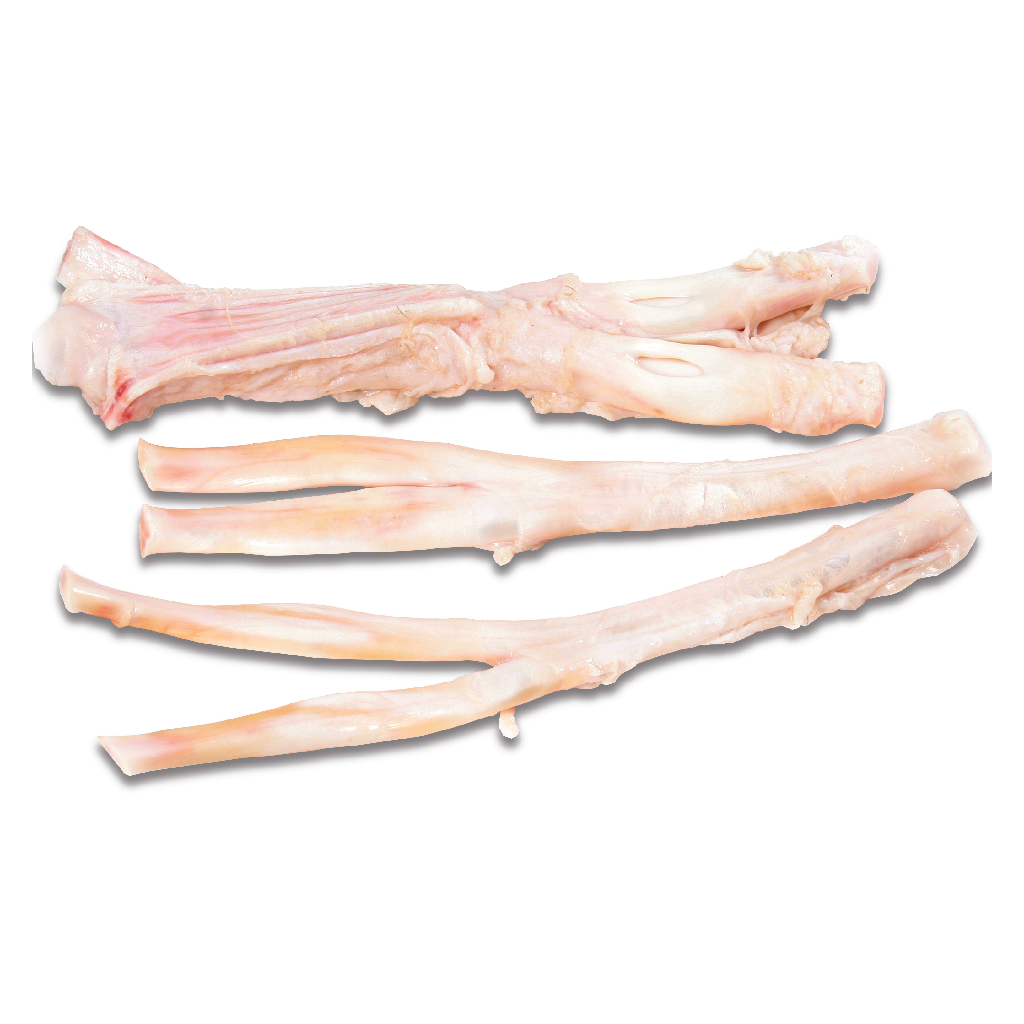 Gân Chân Sau Trâu Allana